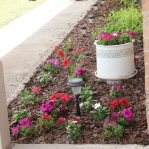 Andrea Spencer Realtor