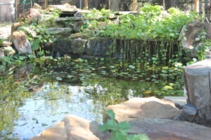 Best Realtor in Weatherford